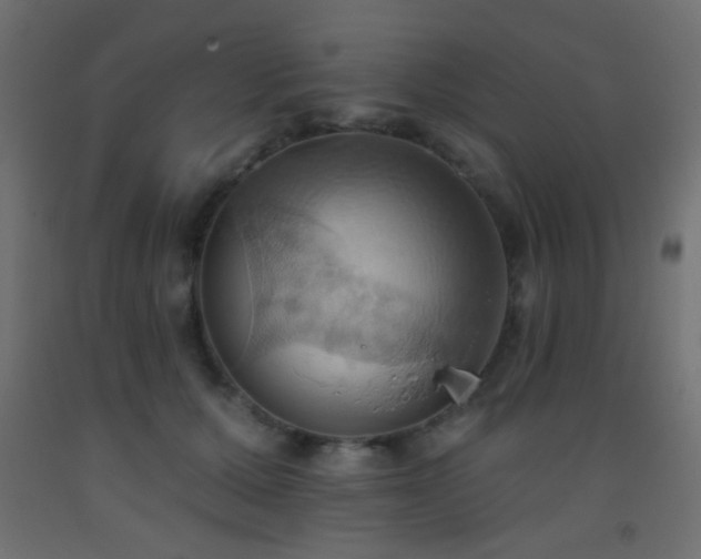 X0000093520607200710121546