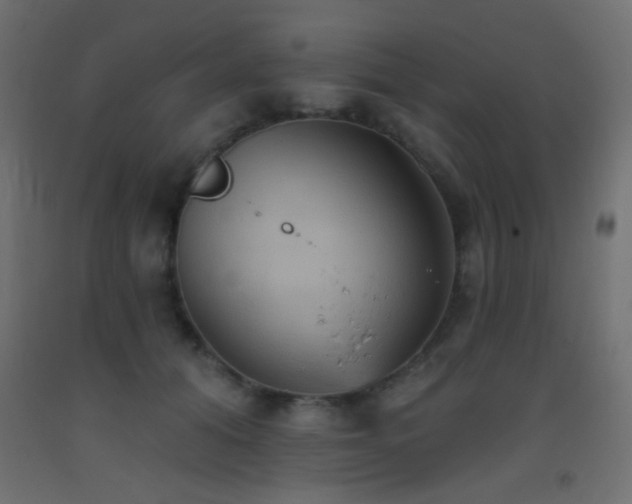 X0000093520608200710121546