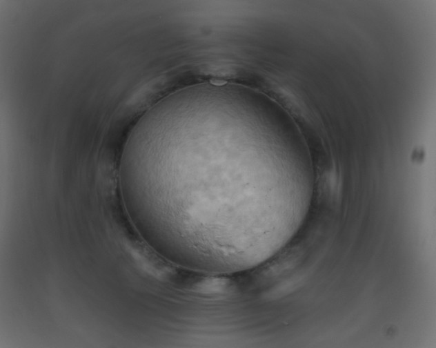 X0000093520609200710121546