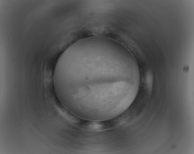 X0000093520610200710121546