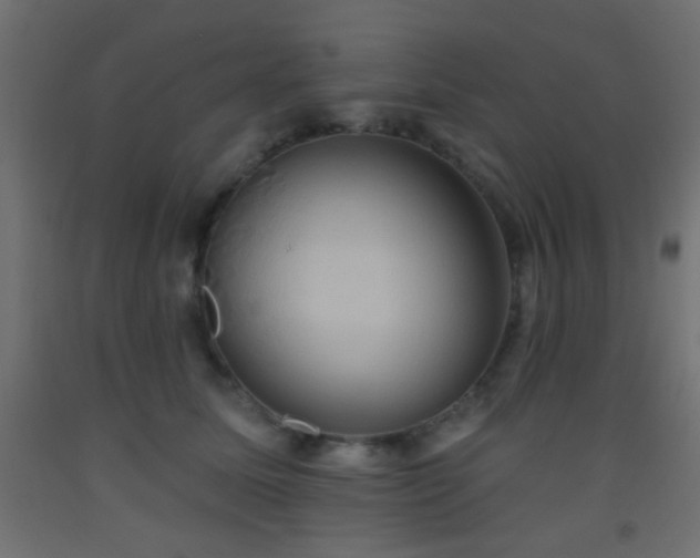 X0000093520611200710121546
