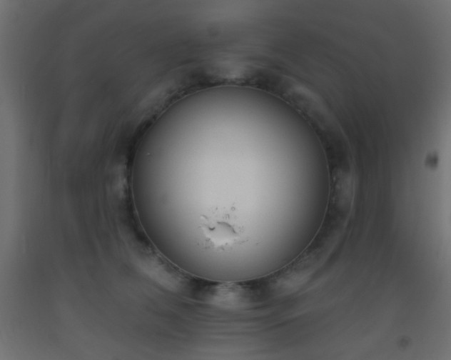 X0000093520612200710121546