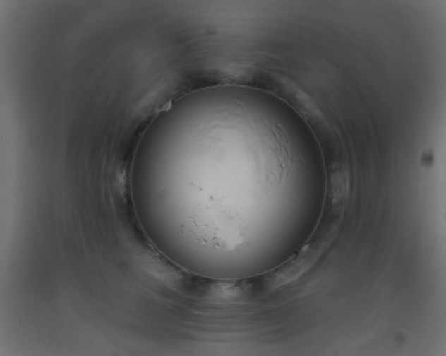 X0000093520613200710121546