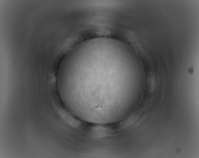 X0000093520614200710121546