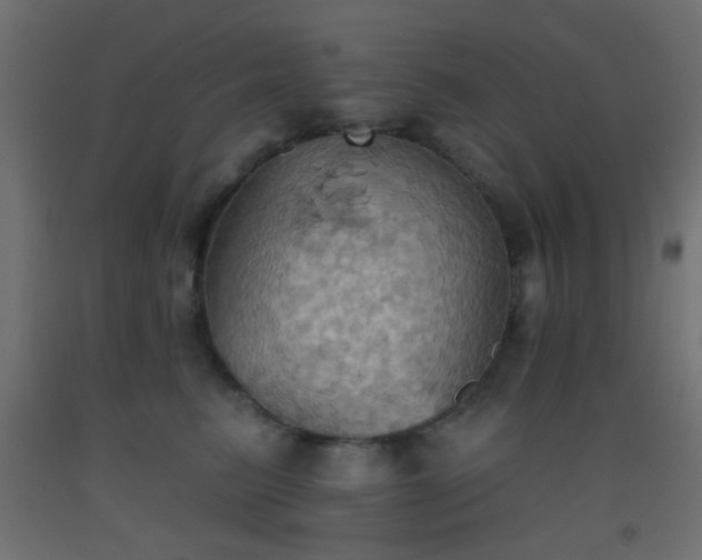 X0000093520615200710121546