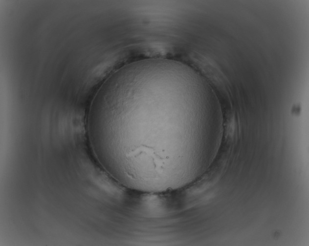 X0000093520616200710121546