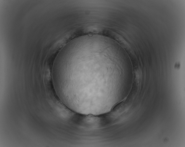 X0000093520617200710121546