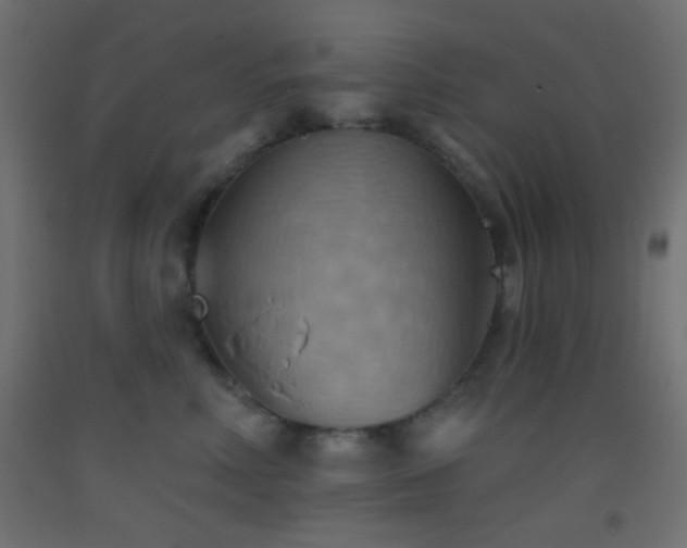 X0000093520618200710121546