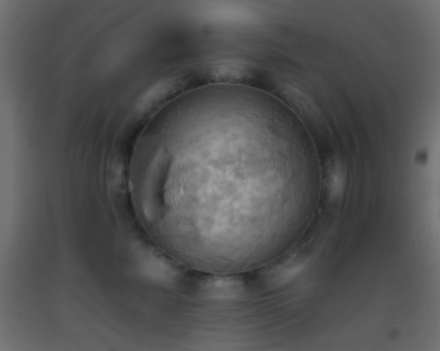 X0000093520619200710121546