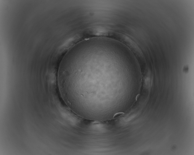 X0000093520620200710121546
