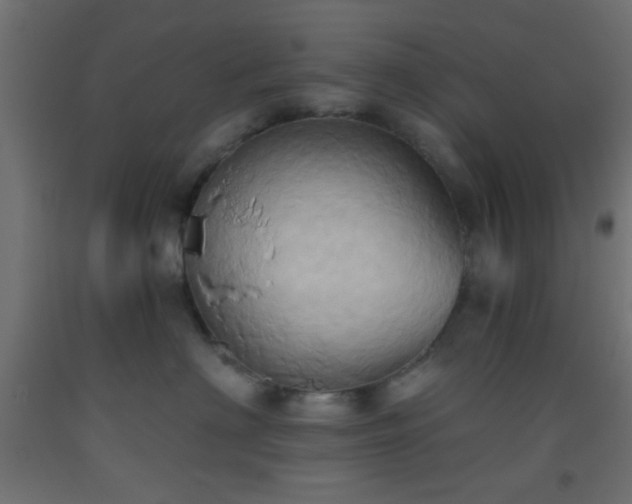 X0000093520622200710121546