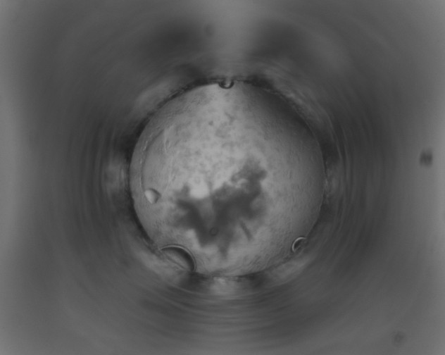 X0000093520623200710121546