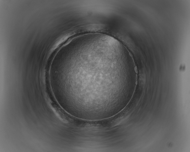 X0000093520626200710121545