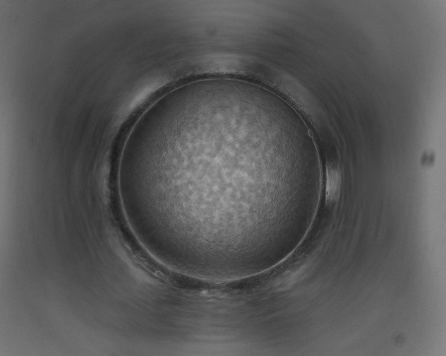 X0000093520627200710121545