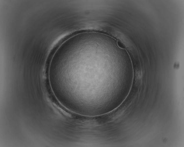 X0000093520628200710121545