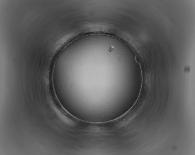 X0000093520629200710121545