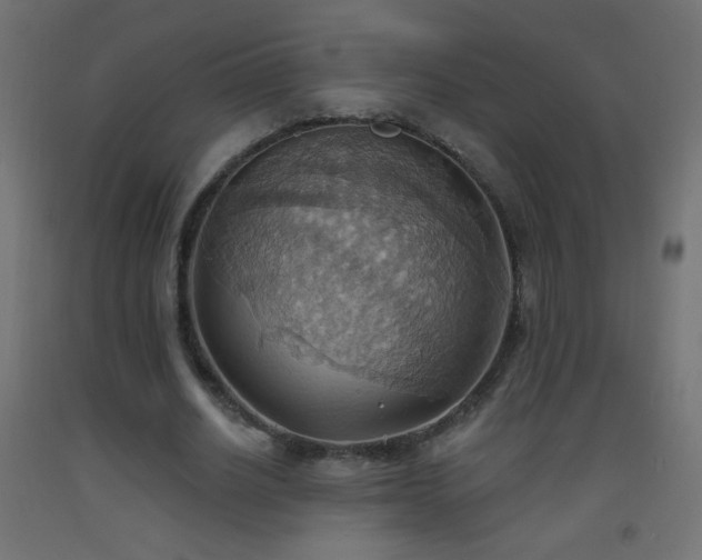 X0000093520630200710121545