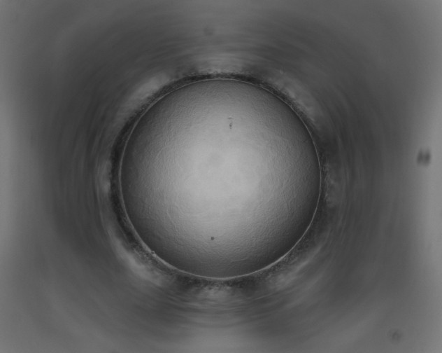 X0000093520631200710121545