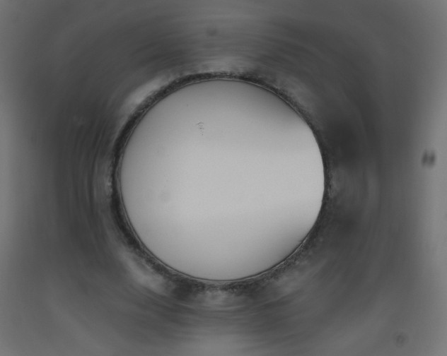 X0000093520632200710121545