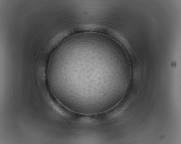 X0000093520633200710121545
