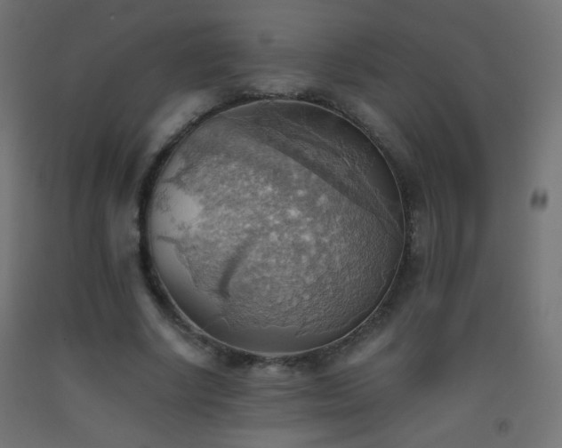 X0000093520634200710121545
