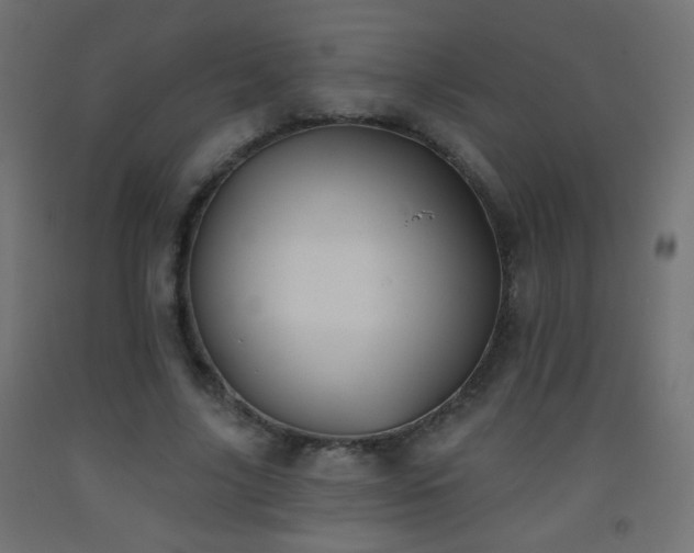 X0000093520635200710121545