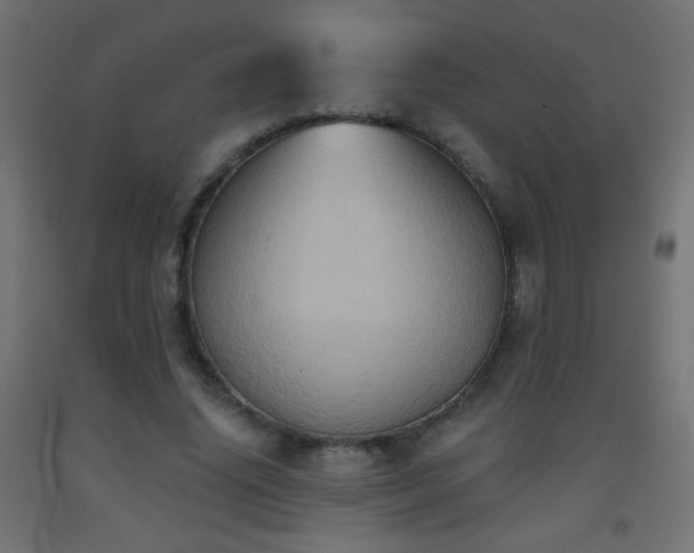 X0000093520636200710121545