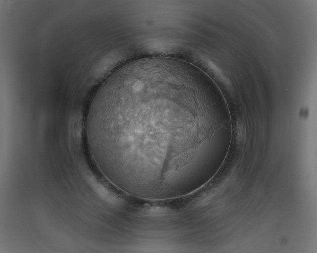 X0000093520637200710121545