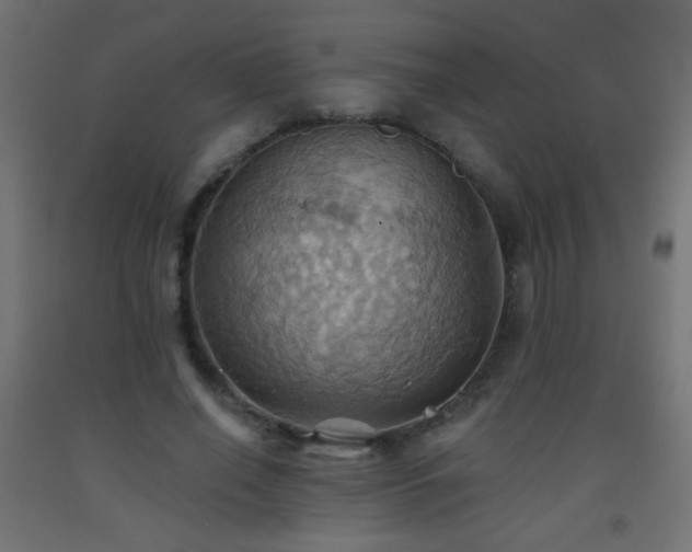 X0000093520638200710121545