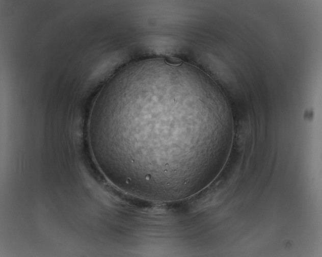 X0000093520639200710121545