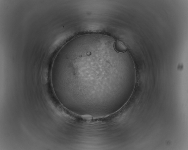 X0000093520640200710121545