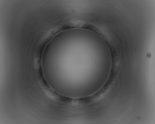X0000093520641200710121545