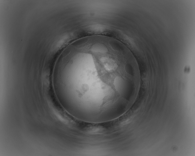 X0000093520642200710121545