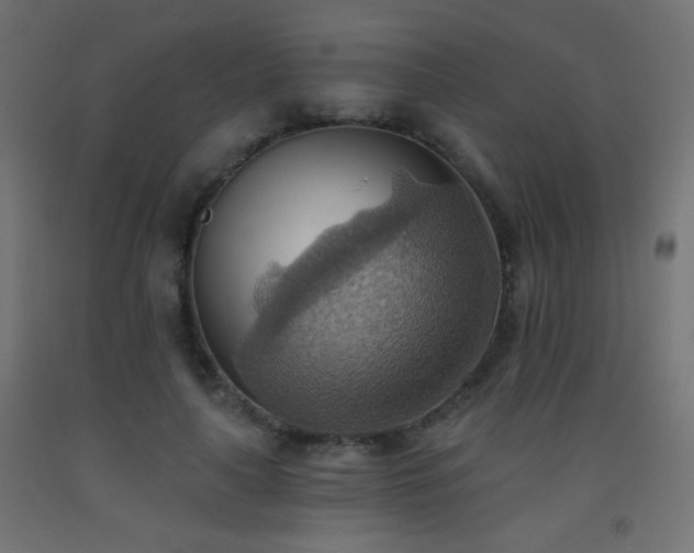 X0000093520643200710121545