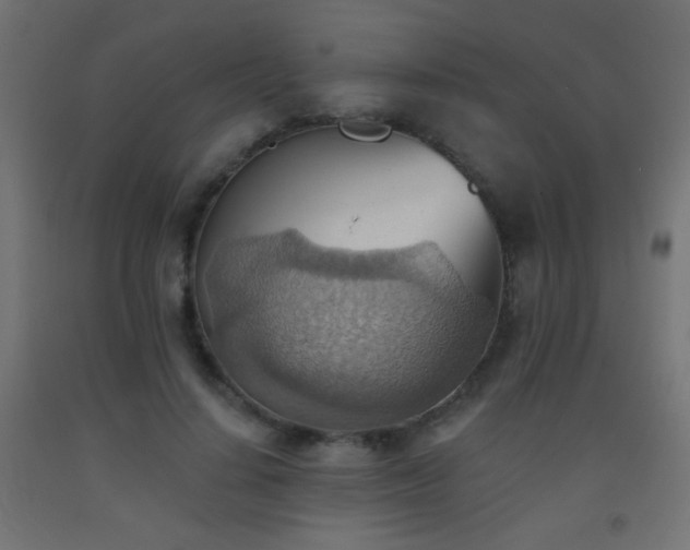 X0000093520644200710121546