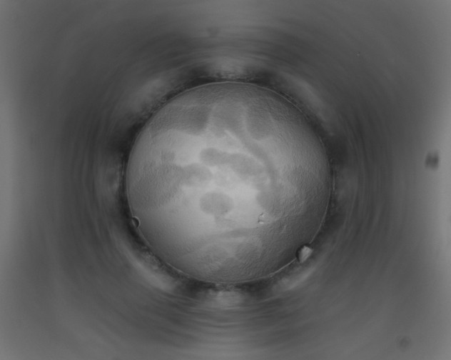 X0000093520645200710121546