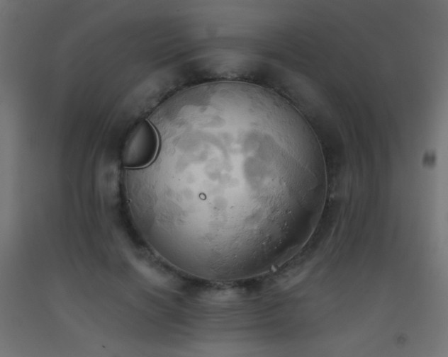 X0000093520646200710121546