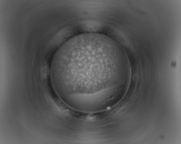 X0000093520647200710121546