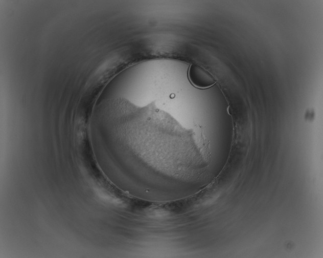 X0000093520648200710121546