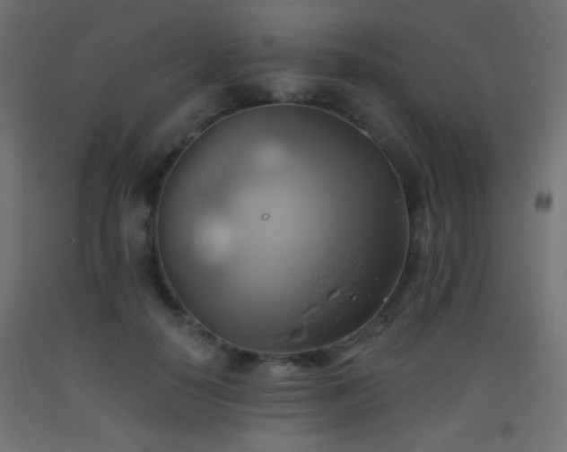 X0000093520650200710121546