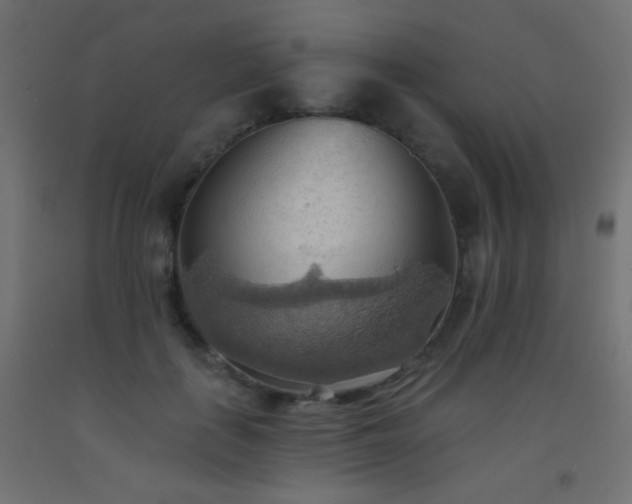 X0000093520651200710121546