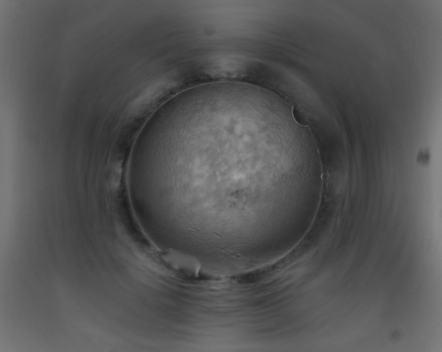 X0000093520652200710121546