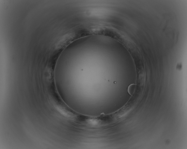 X0000093520654200710121546