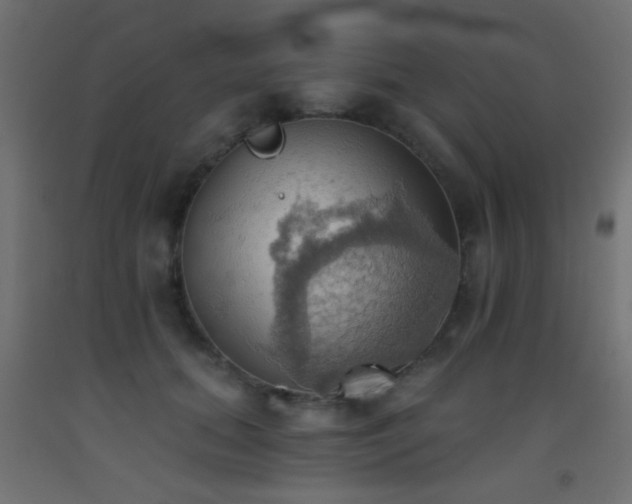 X0000093520655200710121546