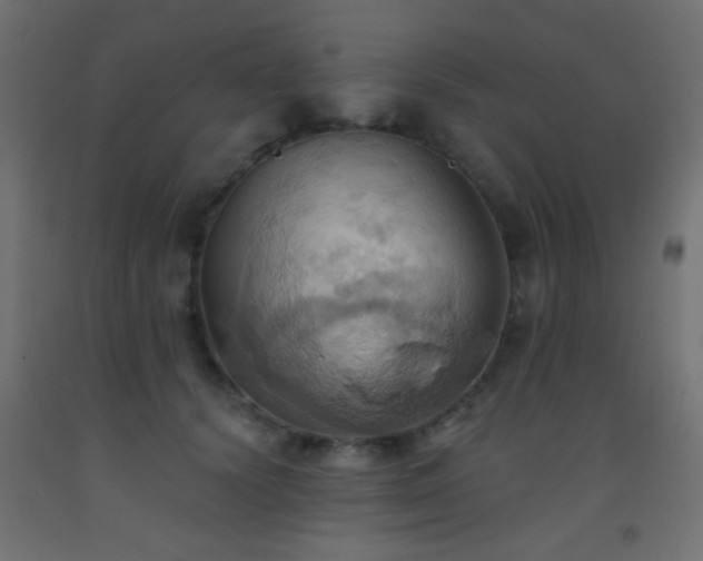 X0000093520656200710121546