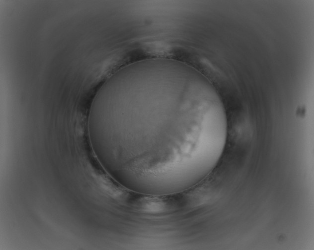X0000093520658200710121546