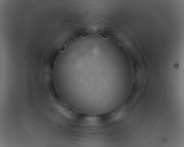 X0000093520659200710121546