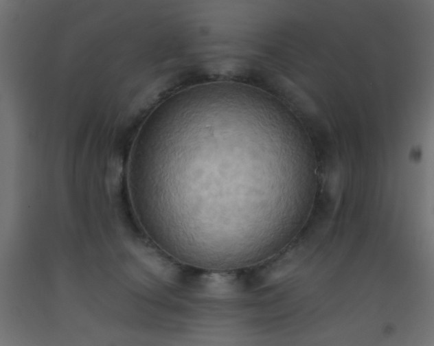 X0000093520660200710121546