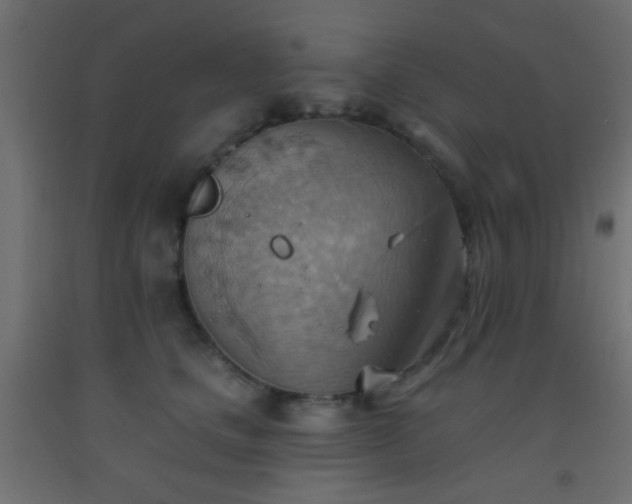X0000093520661200710121546