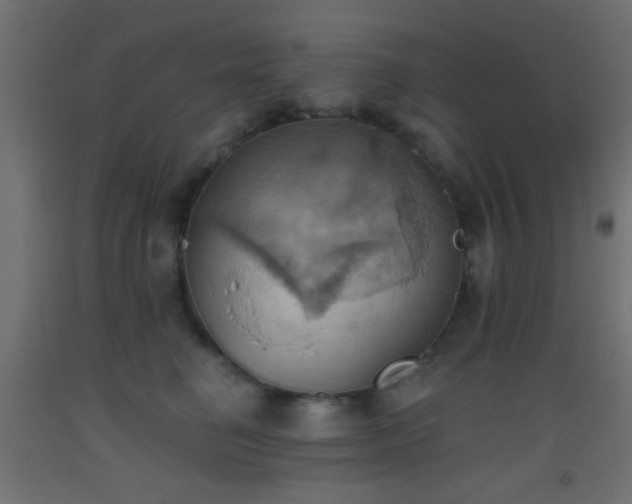 X0000093520662200710121546